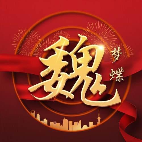 一汽-大众全新迈腾：引领潮流的家族式设计，卓越的动力体验